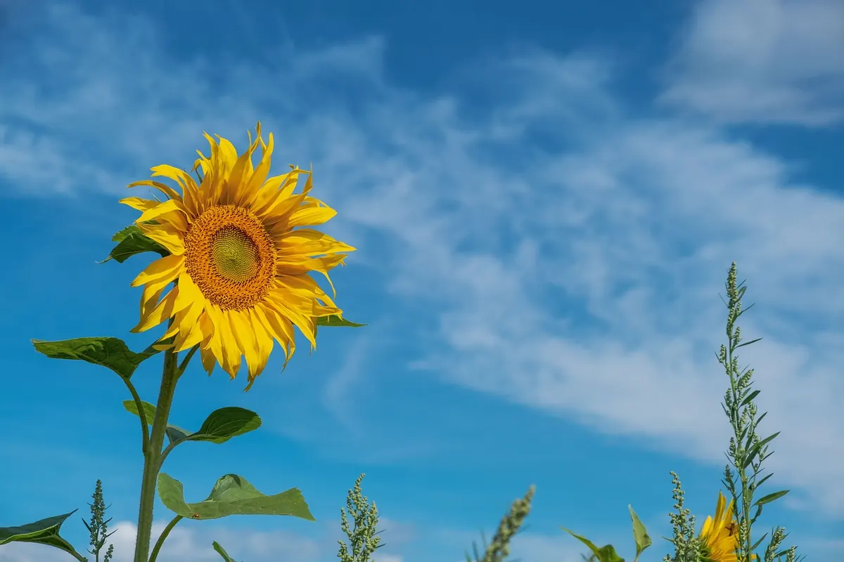 A Seasonal Guide to UK Wellness Retreats: Spring, Summer, Autumn and Winter